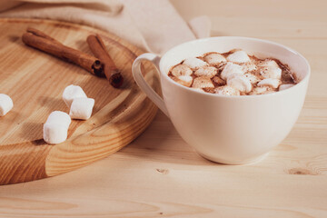 Fototapeta na wymiar tasty sweet hot chocolate in a cup and mini marshmallows