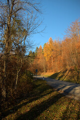 Wunderschöne Herbststimmung in Triesenberg in Liechtenstein 18.11.2020