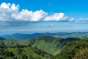 beautiful view of tropical forest in Mae Wong National Park, Thailand