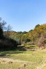ふるさと村散策