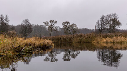 autumn landscape gray and cloudy day, river bank with bare trees and bushes, bank reflection in river water