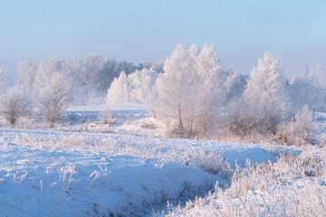 Hoarfrost weather at winter. Snowy trees on frozen meadow. Frost and snow in scenic winter nature landscape