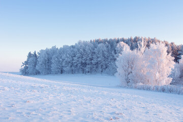 Snowy winter scene in the morning sunlight. Winter landscape.