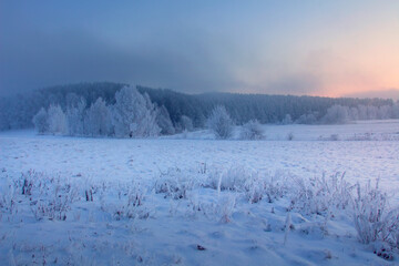 Winter meadow covered by snow at dawn. Beautiful winter nature landscape
