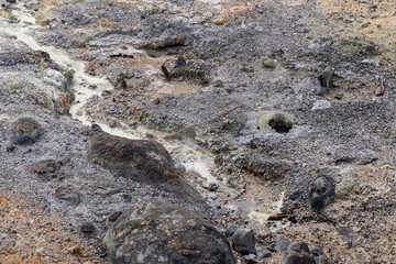 Stream of warm mud with traces of sulfur in the 