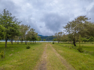 Fototapeta na wymiar Path on the Grass with Small Trees on Both Sides, on the Furnas Lake - Furnas Lagoon - São Miguel Island in the Azores