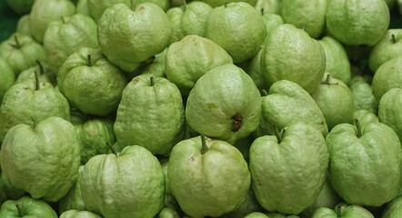 A lot of guava total division to sell in the markets.