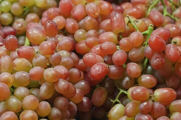 A lot of red grapes totaldivision to sell in the markets.