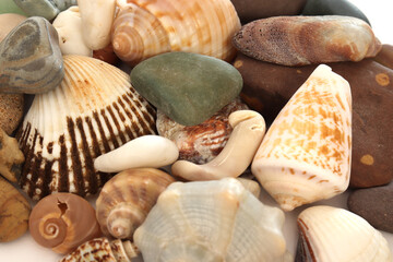 
natural sea stones on yellow background