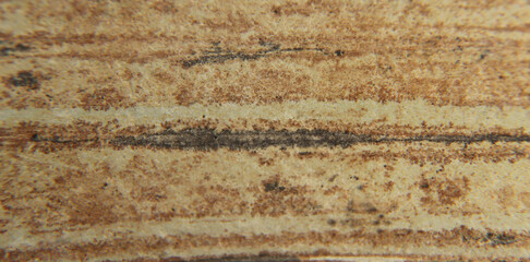 
natural stone texture close up