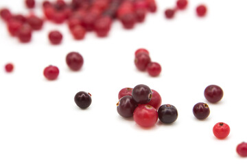 Ripe organic cranberry isolated on white background. Сopy space on a white background.