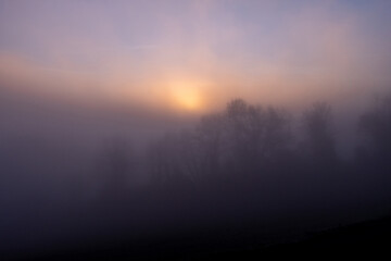 Fototapeta na wymiar paysage brouillard