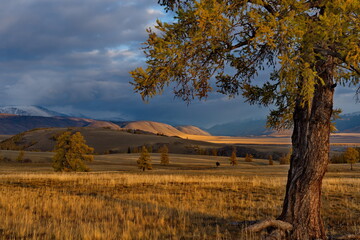 Fototapeta premium Russia. Mountain Altai. Desert steppes at the foot of the North Chui mountain range along the Chui tract.
