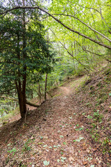 Natural path of Val  Falcina at Valle del Mis in Italy.