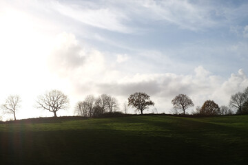 Baumreihe am Horizont mit Wolkenhimmel