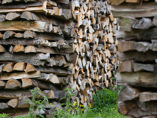 Seasoned coppiced wood is stacked neatly ready to be used as winter fuel.