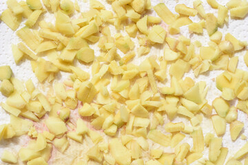 Ingwer; Zingiber; officinale