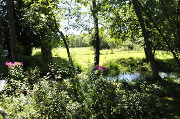 spring in the park - Giverny - France