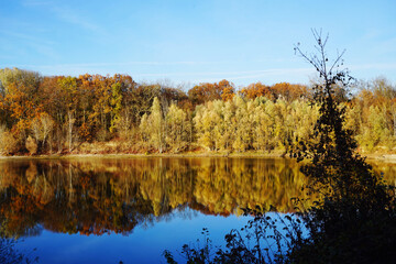 Obraz premium tranquil landscape at a lake in autumn