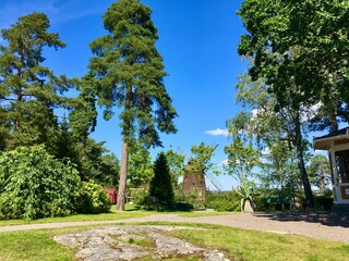 Beautiful view with tall pine trees and a mill in the background. Nice climate a hot and warm day. A windmill in the background. At the rural museum Torekallberget, Sodertalje, Sweden.