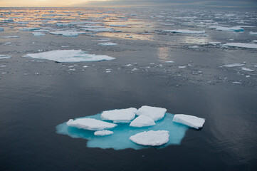 Wide angle view with broken iceberg in foreground drifting amongst melting ice floes in northern arctic ocean viewed from sea.A setting sun casts an orange glow on the sea.Climate crisis emergency and © Tony Skerl
