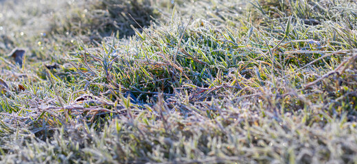 image of snow on the grass late autumn close up