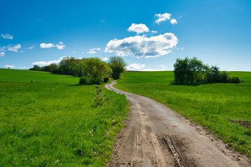 Feldweg zwischen grünen Wiesen im Sommer
