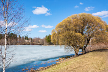 View of the shore and frozen pond of Mellonlahti Bay in spring, Imatra, Finland