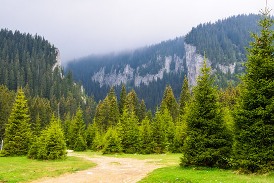 Transbucegi Road , Carpathian Mountains , Romania 