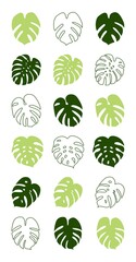 Background with tropical palm leaves, monstera, passion fruit. Beautiful hand-drawn exotic plants. Floral background. Monstera isolated on white background. Monstera leaves, jungle