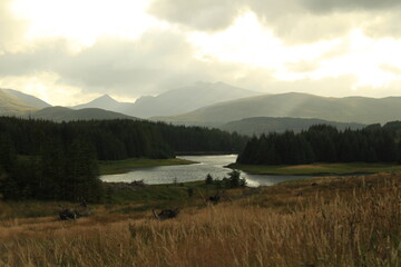 Scottish landscape with mountains and the lake