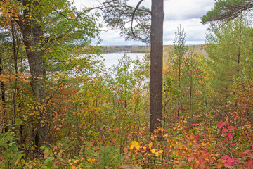 Grousehaven Lake, Overlook, Rifle River Recreation Area, Ogemaw County, Michigan