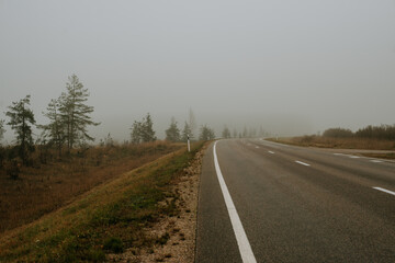 road through the forest