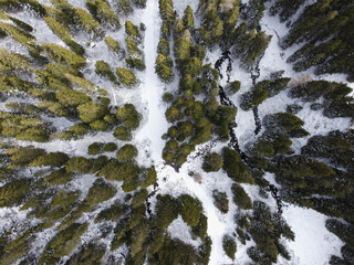a stream flowing through a snow covered forest
