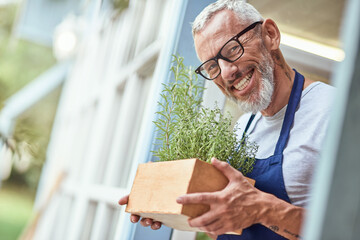 Middle aged caucasian man holding box with spicy herbs