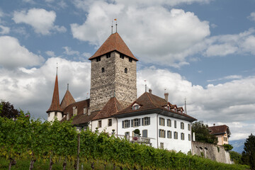 Château de Spiez en été