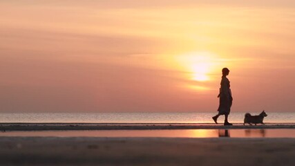 beautiful woman and corgi dog walk along seashore during evening sunset on autumn spbi. Side view of stylish person and cute pet are walking along sea beach and watching amazing golden sundown on warm