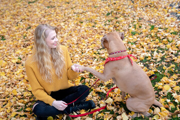 Schöne Frau mit Roten Mantel und Hund im Goldenen Herbst beim Gassi gehn