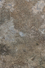 Texture of old gray concrete wall for background. Cement wall texture background. Old grungy texture