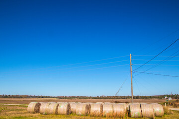 A row of hay bales on farm land and clear blue skies