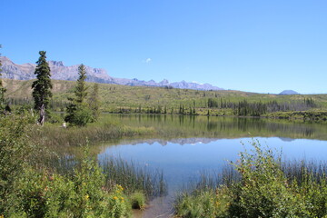 Summer Reflections, Jasper National Park, Alberta