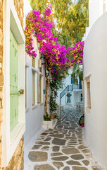 Traditional Cycladitic alley with narrow street, whitewashed houses and a blooming bougainvillea...