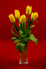 Bouquet of yellow tulips on a red background, greeting card for Valentine's day, women's day and mother's day
