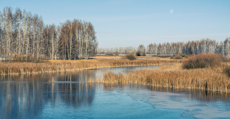 The first frost covered with a thin crust of ice a small pond winding among the birches. The banks of the reservoir are overgrown with reeds and shrubs