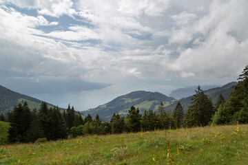 Panorama Lac de Genève depuis col de Sonloup en été