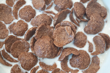 Chocolate cornflakes with fresh milk in ceramic bowl
