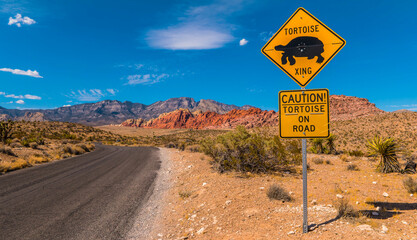 Caution ! .... Turtles cross the Road © ZerroNs Photography