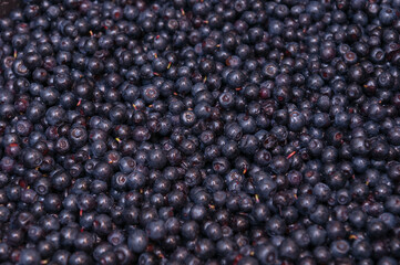 Top view of lots of blueberries