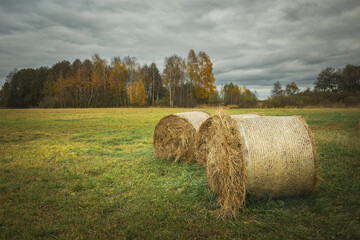 Hay bales in the meadow, trees on the horizon and cloudy sky