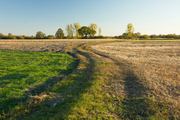 Winding dirt road through fields and trees at the horizon